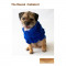CC-Rascal-Blue-03